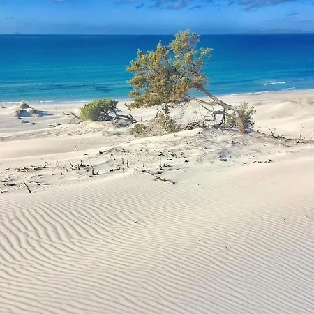 Vacanze Il Sogno *